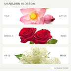 Mandarin Blossom Diffuser Oil Scents for Home (8.5 Fl Oz (Pack of 1))