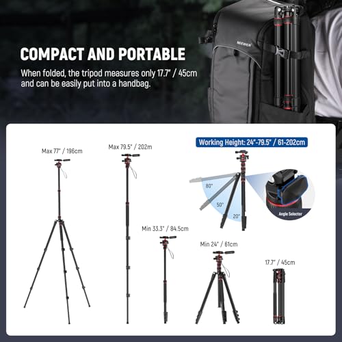 Basics Camera Tripod Monopod (TP08)