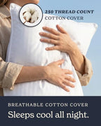 Bed Pillows King Size Set of 2 (King / White)