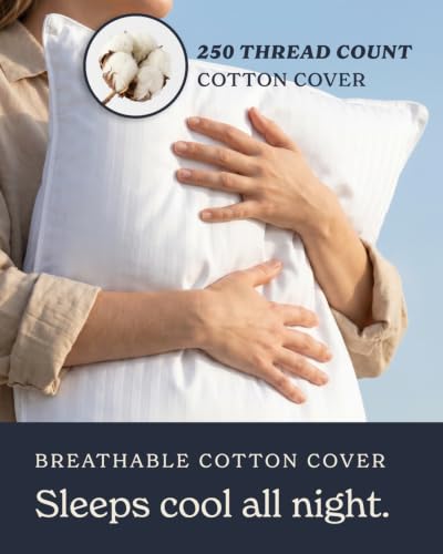 Bed Pillows King Size Set of 2 (King / White)