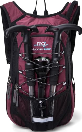 15L Insulated Hydration Backpack Pack with 2L Water Bladder Lightweight Hiking Backpack Bag for Women Men Daypack for Hiking Running Festival Camping Biking