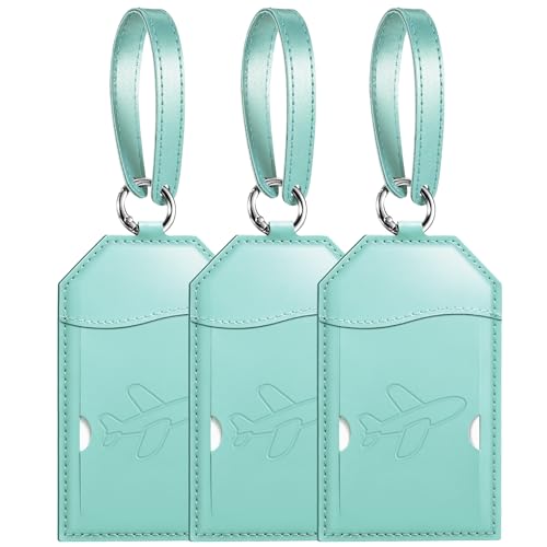 3 Pack Luggage Tags for Suitcases Bag Tag (Cyan Airplane)