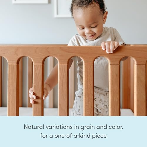 Galileo 3-in-1 Convertible Standard Crib - Chestnut (Chestnut)