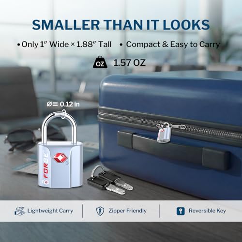 Small Size TSA Approved Luggage Locks (Silver 2 Pack)