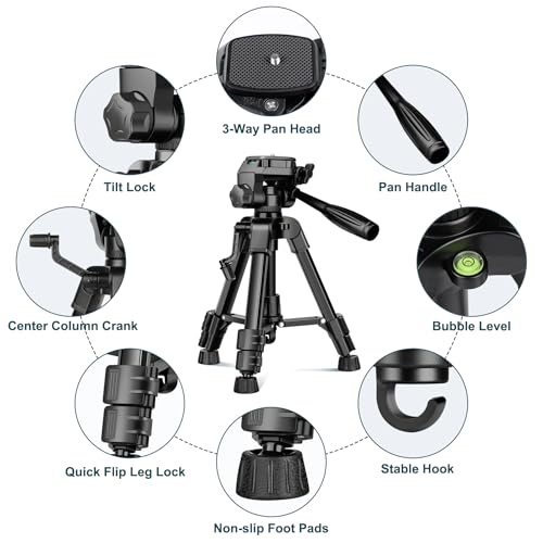Mini Tripod for Camera (Black / 25 Inch)