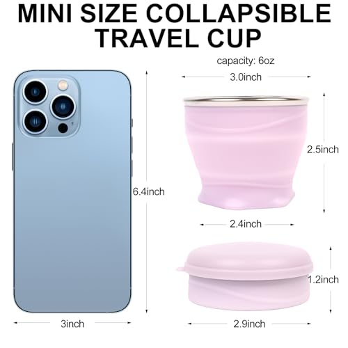Collapsible Cup with Lid (Light Purple)