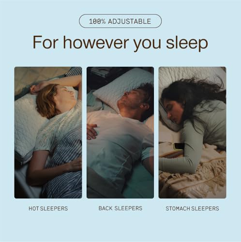 Eden Cool Adjustable Pillow (King / Classic)