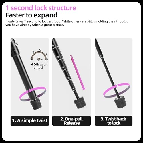 Mini Tripod for Camera 58 Inch Compact Travel Tripod with Selfie Stick Mount (FY830 Black)