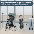 Quid³ Travel Stroller + Carry Bag & Wheel Covers (Galaxy Gray with carry bag)