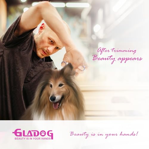 Professional 4 in 1 Dog Grooming Scissors Set with Safety Round Tips (Pink 4 in 1)