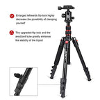 B690A Camera Tripod for Travel (B690A Aluminumn Tripod)