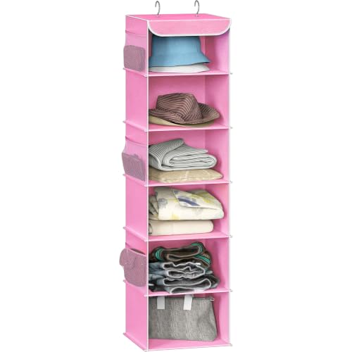 6 Shelf Hanging Closet Organizer (6 Shelf / Pink)
