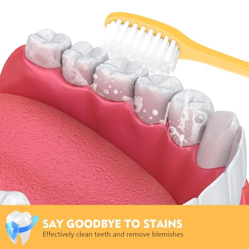 100 Pack Disposable Toothbrushes with Toothpaste and Comb