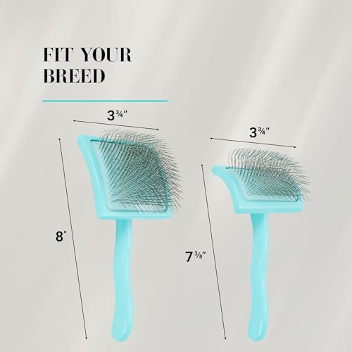 Big G Dog Slicker Brush for Dogs (Medium / Teal)