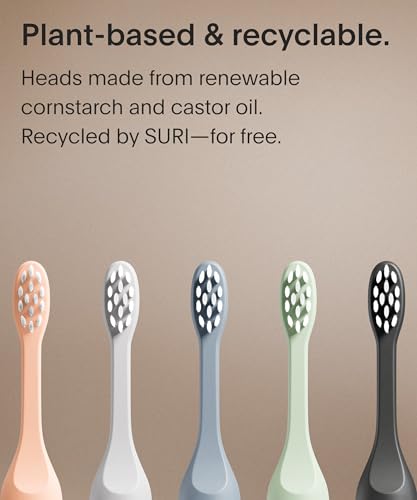Recyclable Electric Toothbrush Heads (Midnight Black)
