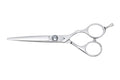 Cricket S2 Elite Series Shears 600 Professional Hair Cutting Scissors - 6-Inch Barber & Stylist Hair Scissors with Convex Edge Blades, Durable Swedish Steel, Leaf Spring Tension, Hand-Polished Finish
