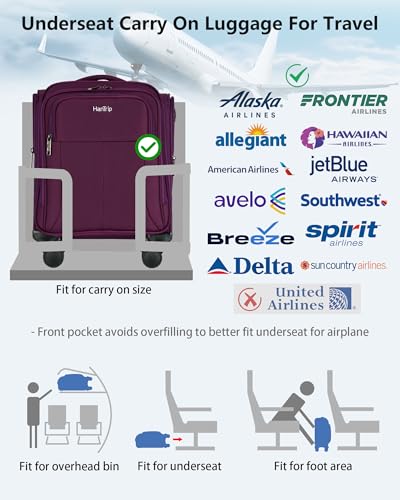 16 Inch Underseat Mini Carry On Luggage with Spinner Wheels (Underseat 16-Inch / Purple)