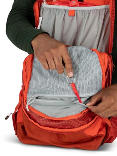 Talon Pro 20L Men's Hiking Backpack with Hipbelt (One Size / Mars Orange)