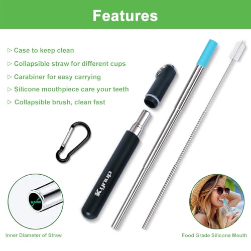 Reusable Collapsible Metal Straws (Blue-Black-Rose Gold-Silver)