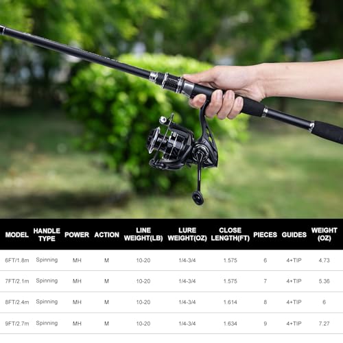 8FT Telescopic Fishing Rod & Reel Combo for Fresh (Black - 2 Rods & 1 Reels Surf Fishing Combo / 2.4M/8FT)