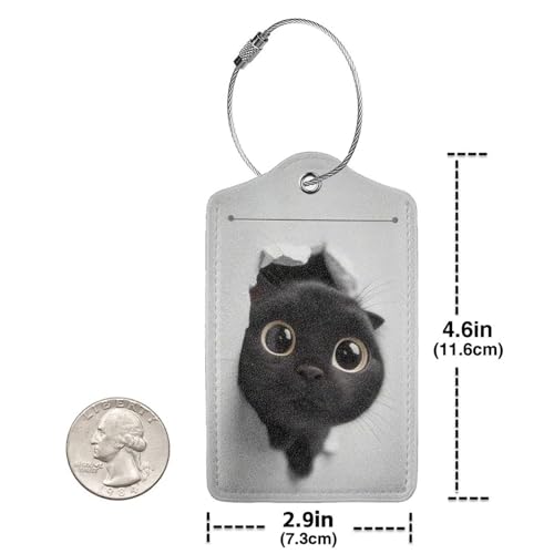 2 Pack Luggage Tags for suitcases Playful Cat TSA Approved Label Luggage Tag Baggage Tag Leather Stainless Steel Loop Label Tag for Men Women Travel Bag Suitcase (Playful Cat)