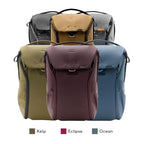 Everyday Backpack 20L (20L / Eclipse)