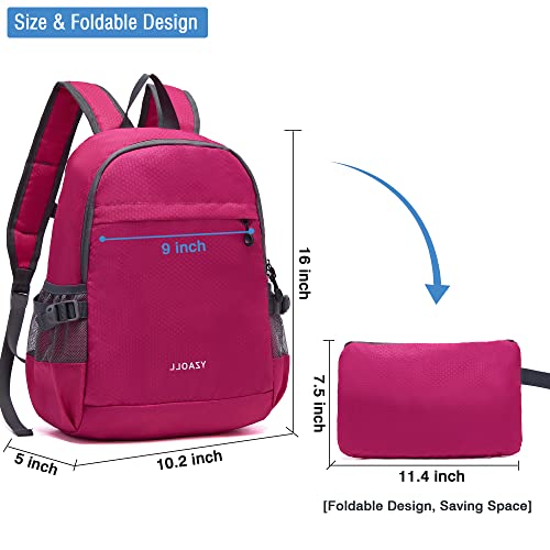 Hiking Backpack 20L Packable Packable Lightweight Day Pack for Women & Men (A-20l-arose)