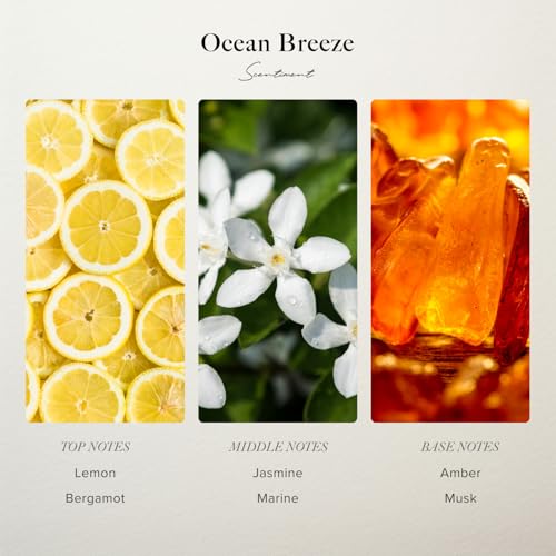 Amalfi Coast Diffuser Oil (0.68 Fl Oz (Pack of 1))