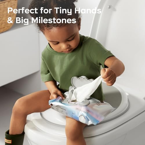 Cloud Max Flushable Wipes (42 Count (Pack of 8))