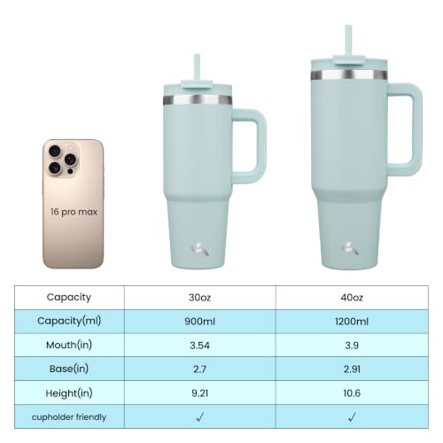 30 oz Insulated Tumbler Water Bottle with Handle (30 Ounces / Blue Haze)