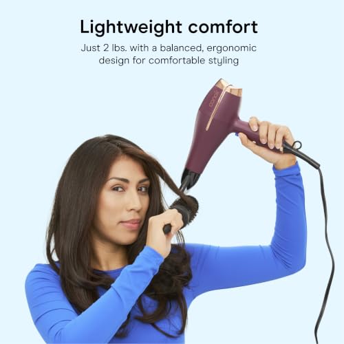 Hair Dryer with Diffuser & Concentrator (Plum / 1 Count (Pack of 1))