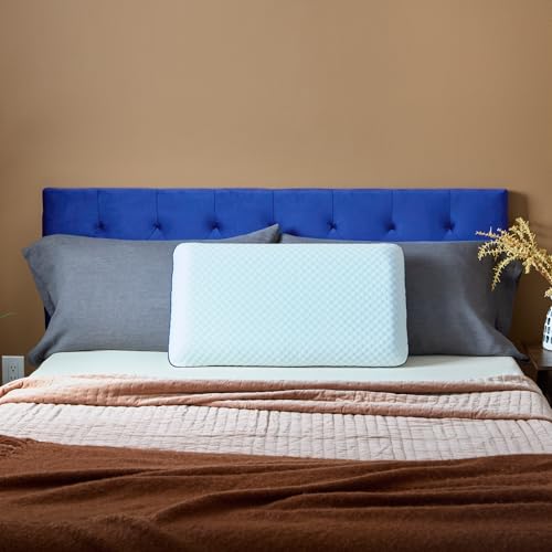 Cooling Gel Memory Foam Pillow for Sleeping (Queen / 1 Pack)