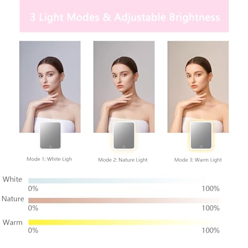 Makeup Bag with Led Mirror (Light Pink / with LED mirror and a 10x mirror)