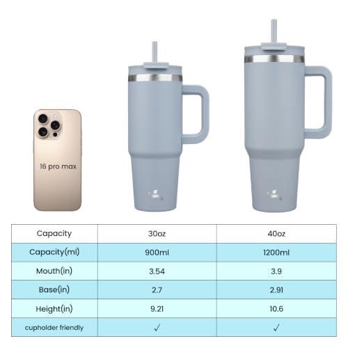 30 oz Insulated Tumbler Water Bottle with Handle (30 Ounces / Lavender)