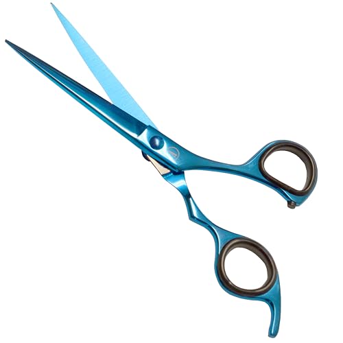 Professional Hair Cutting And Thinning Scissors (Blue / SecureHook Series)