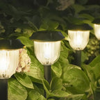 Solar Pathway Lights Long Battery Life (Warm White / 10 Pack)
