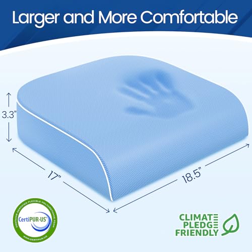 Seat Cushion Chair Pad (Lightblue / X-Large)