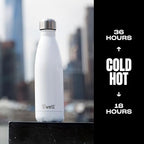 Stainless Steel Water Bottle (Angel Food / 17 Ounces)