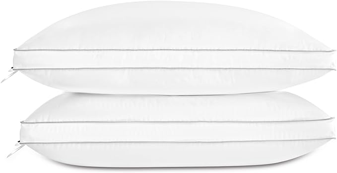 Globon Luxury Feather Down Pillow Standard Queen Size by Globon