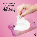 Gentle Feminine Wipes (32 Count (Pack of 4))