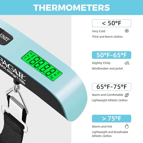 Digital Luggage Scale (Mint)