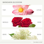 Mandarin Blossom Diffuser Oil Scents for Home (0.34 Fl Oz (Pack of 1))