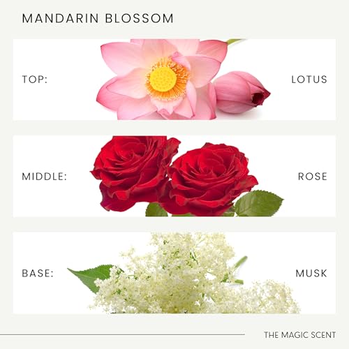 Mandarin Blossom Diffuser Oil Scents for Home (0.34 Fl Oz (Pack of 1))