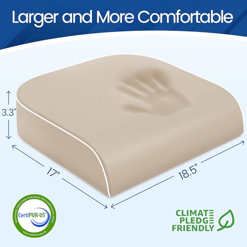 Seat Cushion Chair Pad (Beige / X-Large)