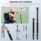Basics TP15 Camera Tripod Monopod (TP15)