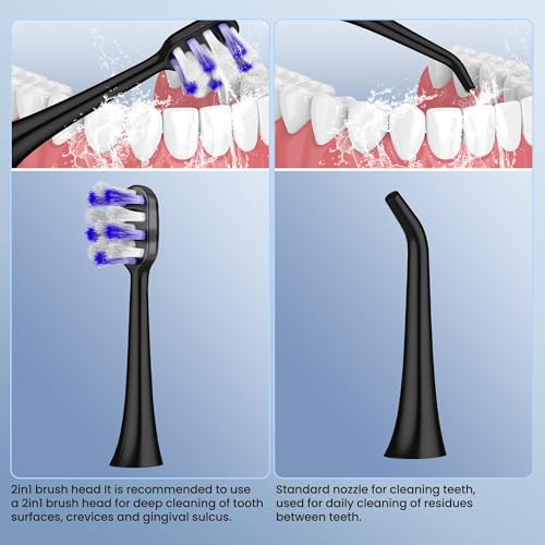 2-in-1 Electric Toothbrush and Water Flosser, Rechargeable Toothbrush with Water Flossing Brush Head, 3 Cleaning Modes, 25-Day Battery, 110ml Water Tank, Portable Travel Toothbrush, Black (Black)