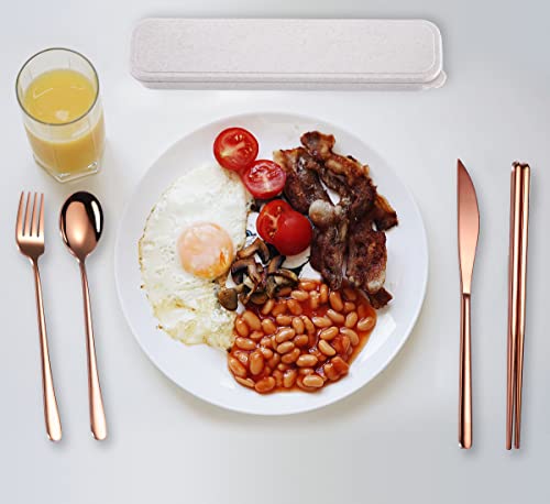 6 Pieces 18 8 Stainless Steel Flatware Set Portable Reusable Cutlery Set Travel Utensils Set Including Chopsticks Knife Fork Spoon Straws Cleaning Brush Dishwasher Safe (Rose Gold)