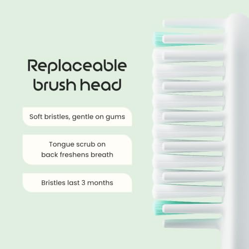 Sonic Electric Toothbrush (Dawn Peach Gold)