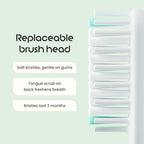 Sonic Electric Toothbrush for Adults (Sage)