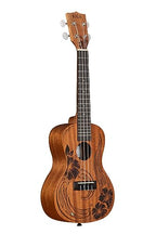 Unity Mahogany Concert Ukulele (Unity / Concert)
